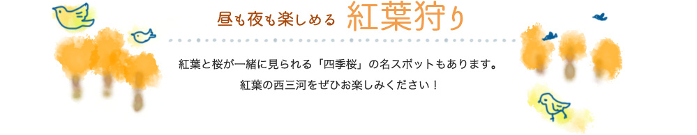 昼も夜も楽しめる紅葉狩り