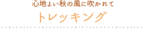 心地よい秋の風に吹かれて トレッキング