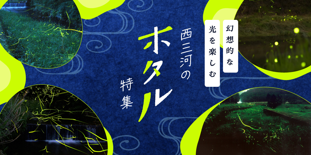 西三河のホタル特集