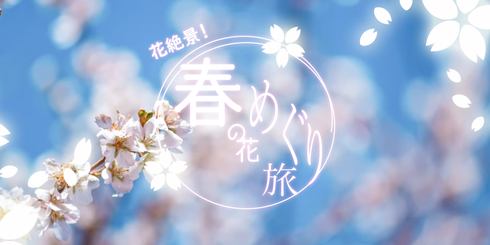 upload/recommend_course_languages/花絶景！春の花めぐり旅