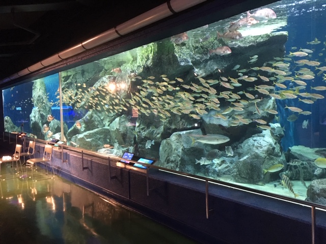 碧南海浜水族館 愛知県西三河エリアの公式観光サイト 西三河ぐるっとナビ