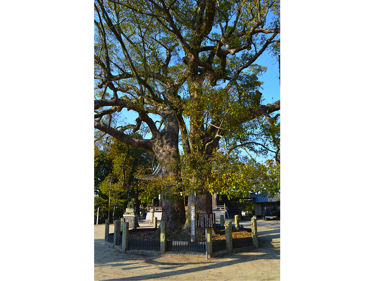 羽利神社