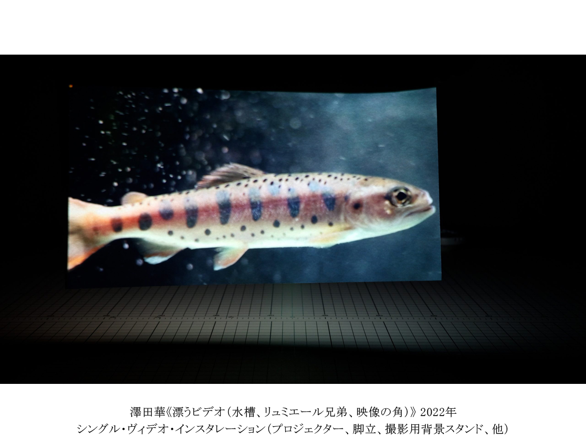 豊田市美術館 企画展「吹けば風」