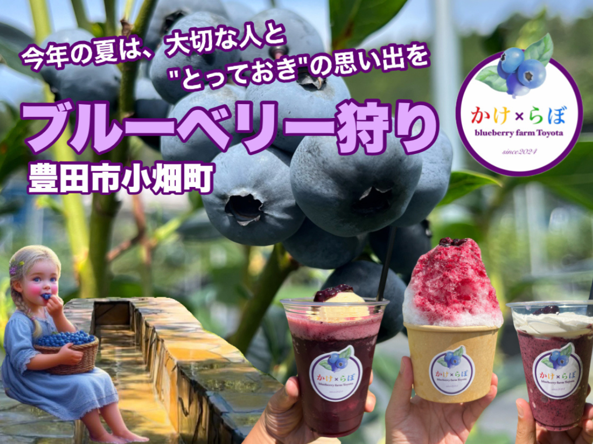 ブルーベリー狩り農園Toyotaかけらぼ