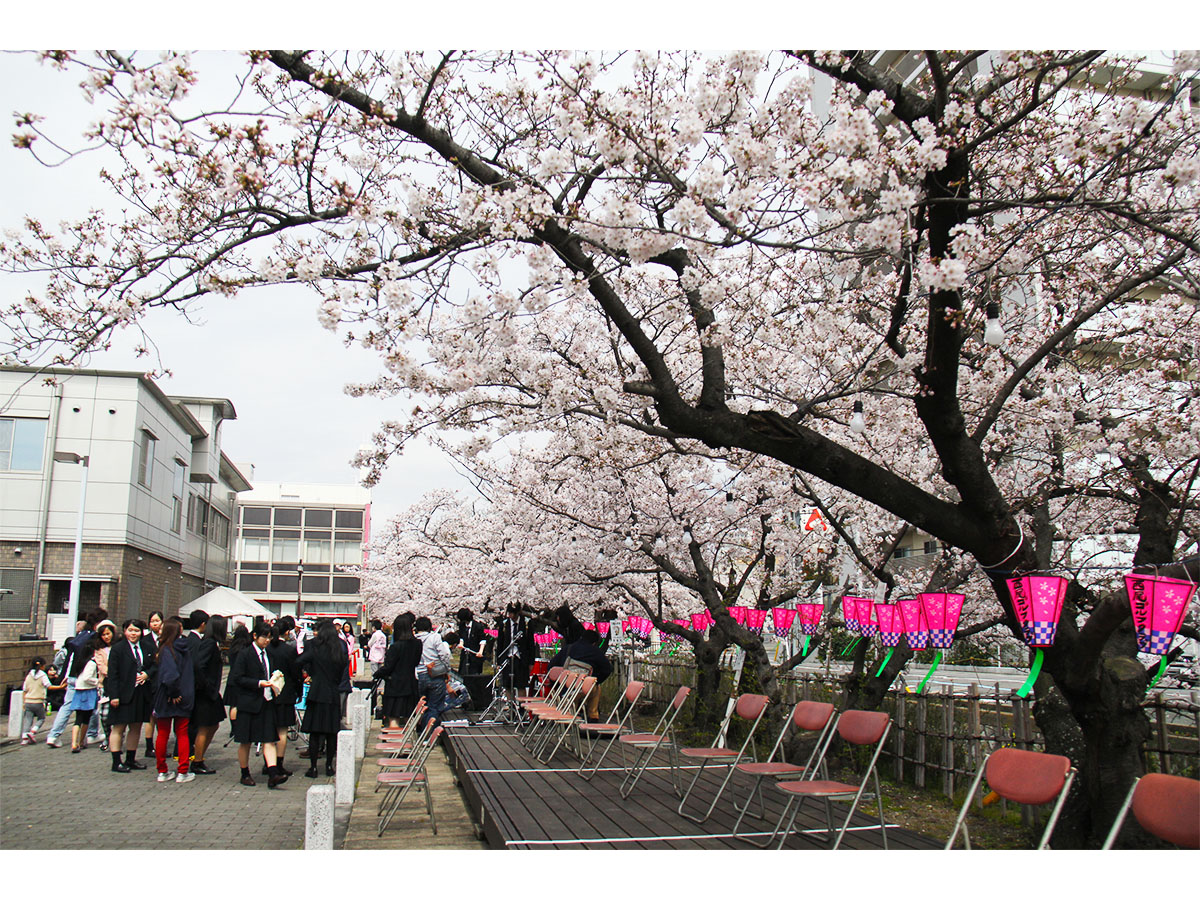 西尾六万石桜まつり | 愛知県西三河エリアの公式観光サイト 西三河