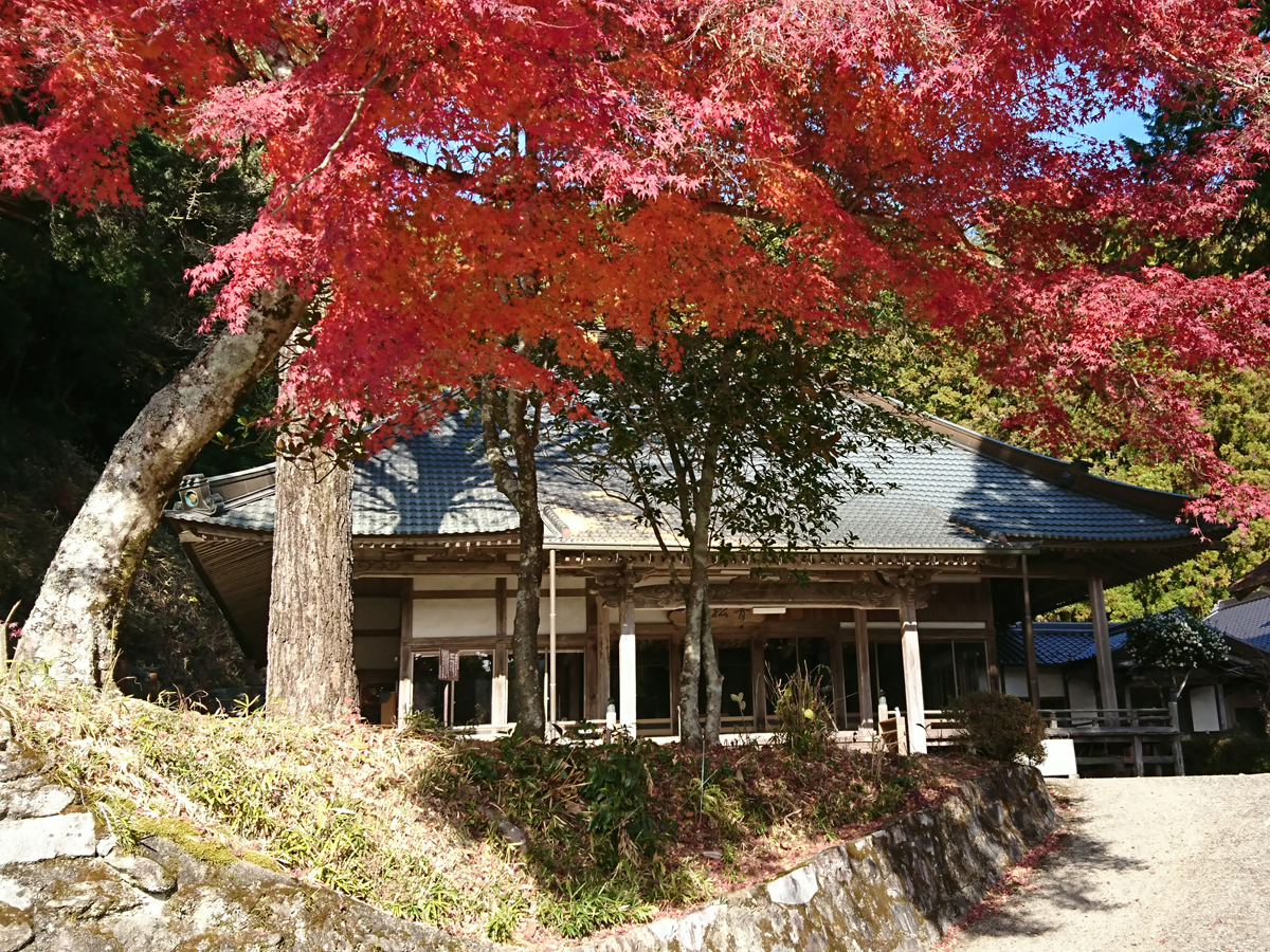 等順寺秋