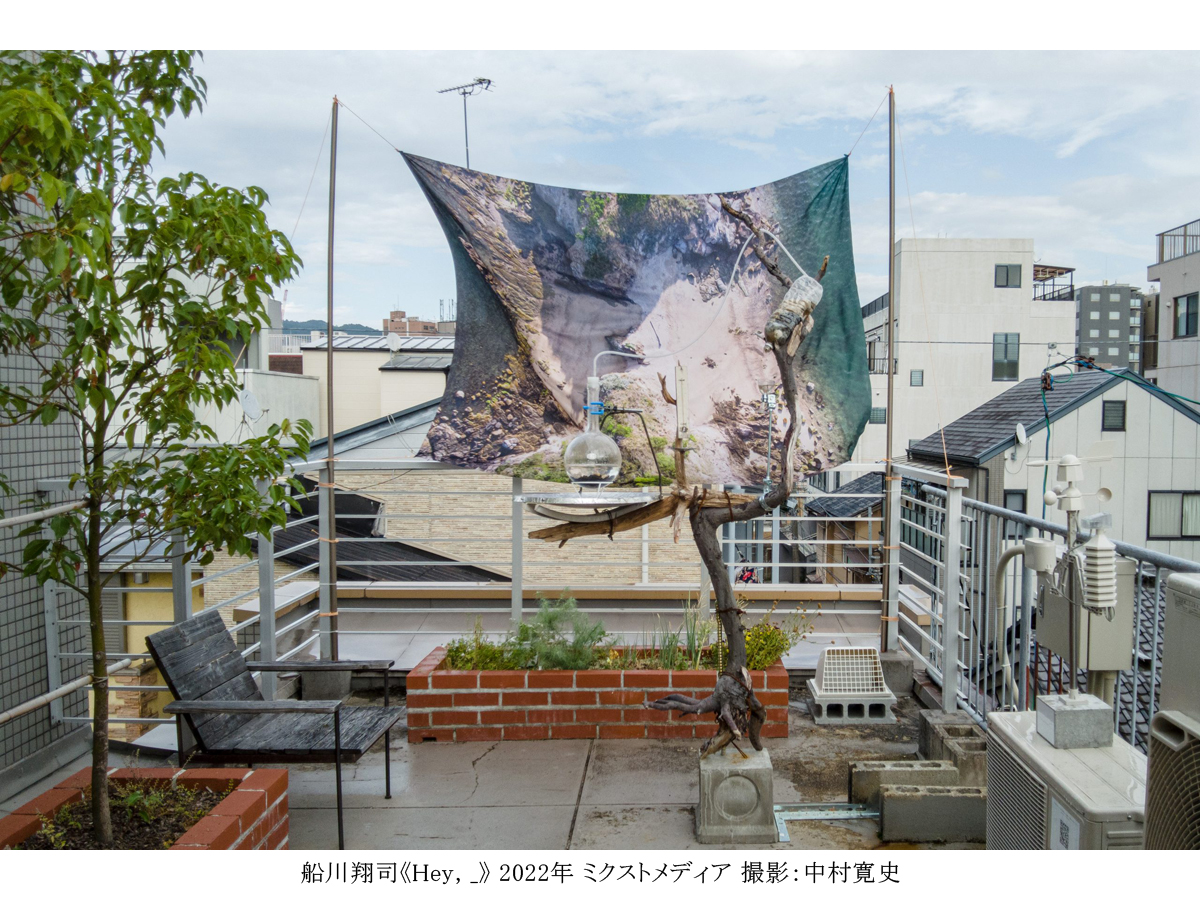 豊田市美術館 企画展「吹けば風」