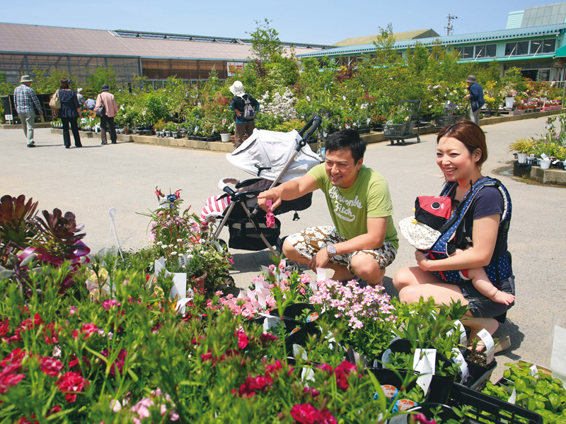 JA西三河  西尾市憩の農園・バラ園