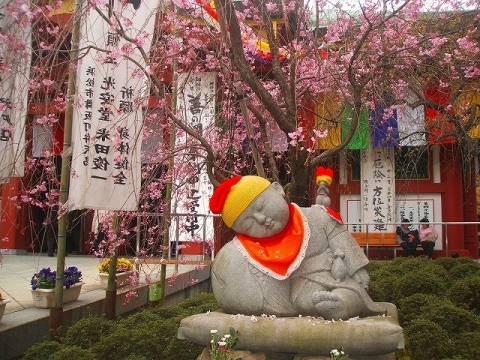 愛知県知立市弘法山遍照院で毎月開催される弘法の命日