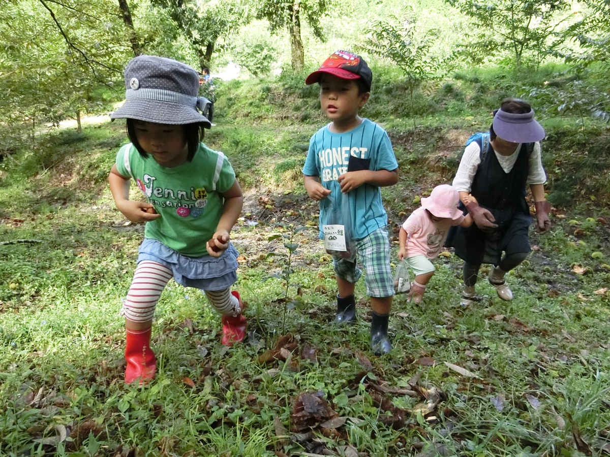 足助みたち栗園