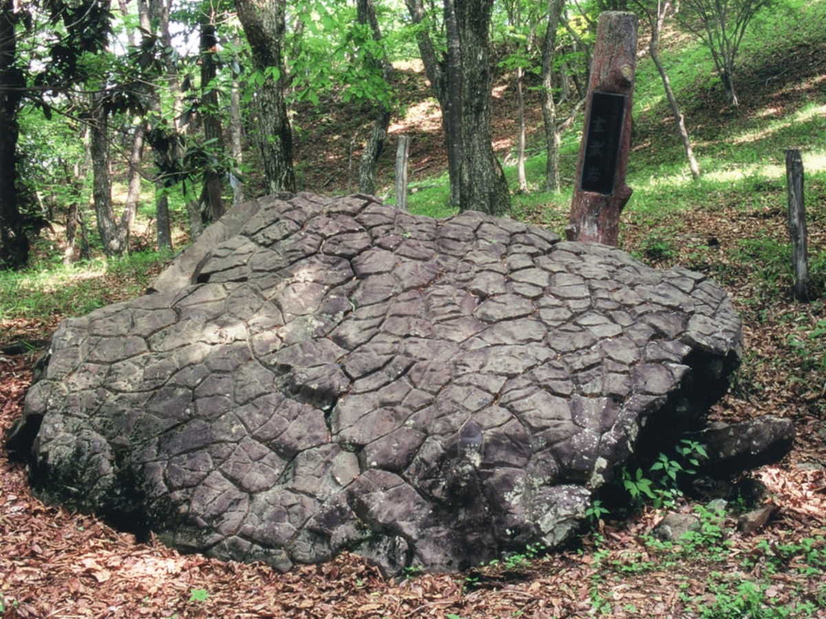 亀の甲石(玄武岩)