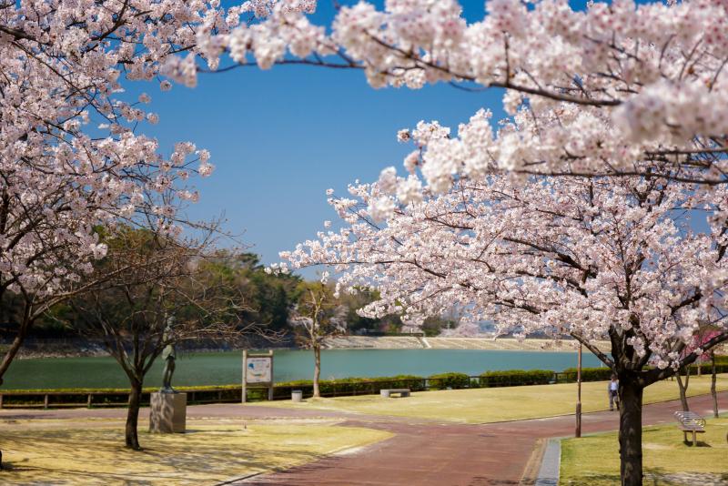 保田ヶ池公園