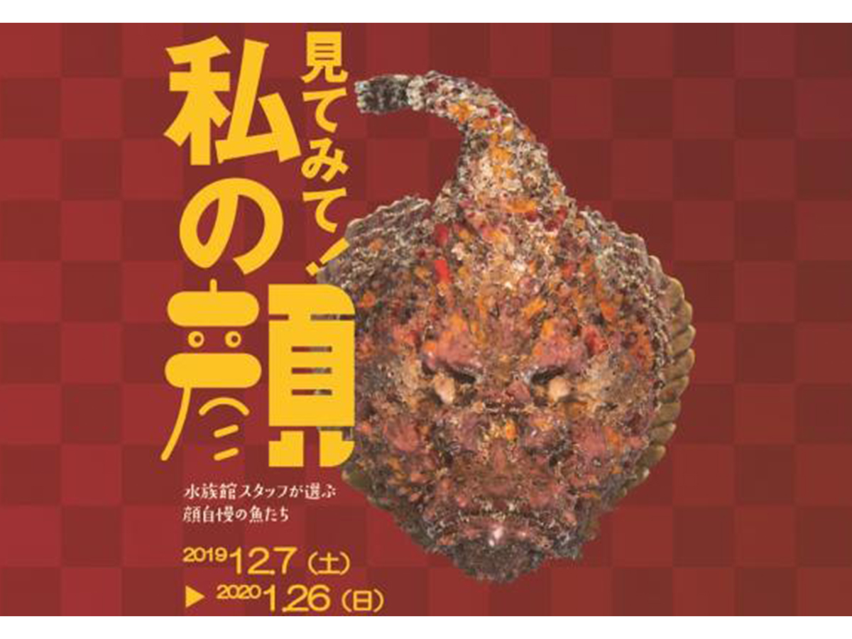 冬の企画展「見てみて！私の顔」