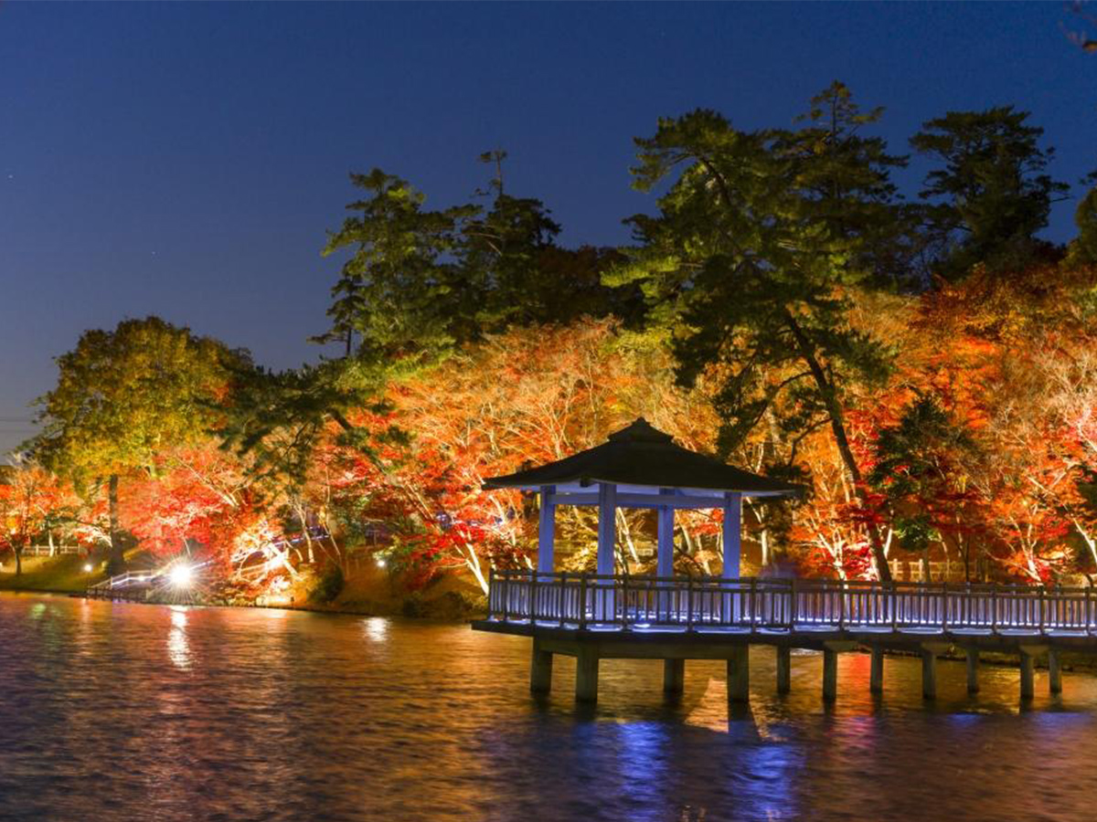 東公園紅葉まつり