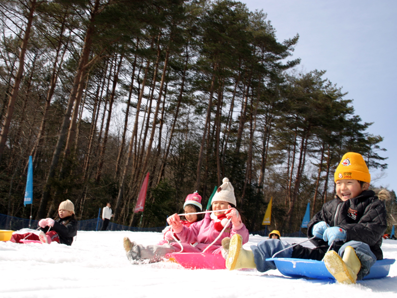 旭高原元気村　雪そりゲレンデ 