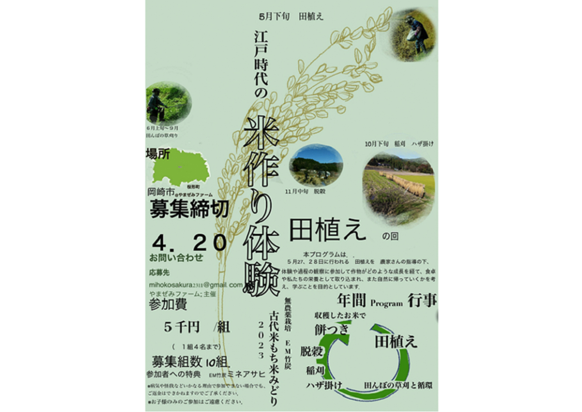 江戸時代のお米作り体験 2023