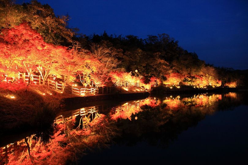 夢・彩・発見ふじおか紅葉まつり