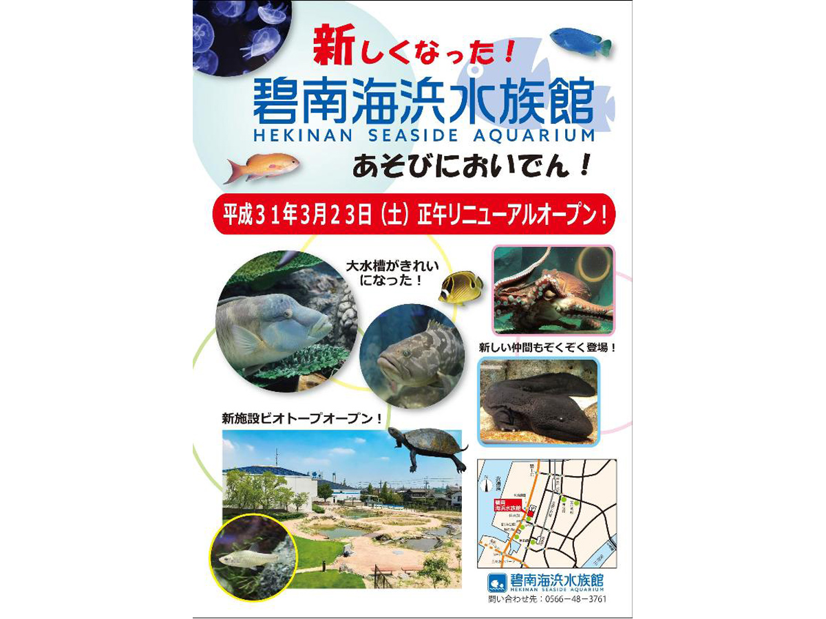 碧南海浜水族館リニューアルオープン