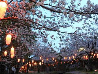 大山緑地の千本桜