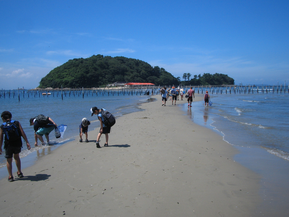 東幡豆海岸