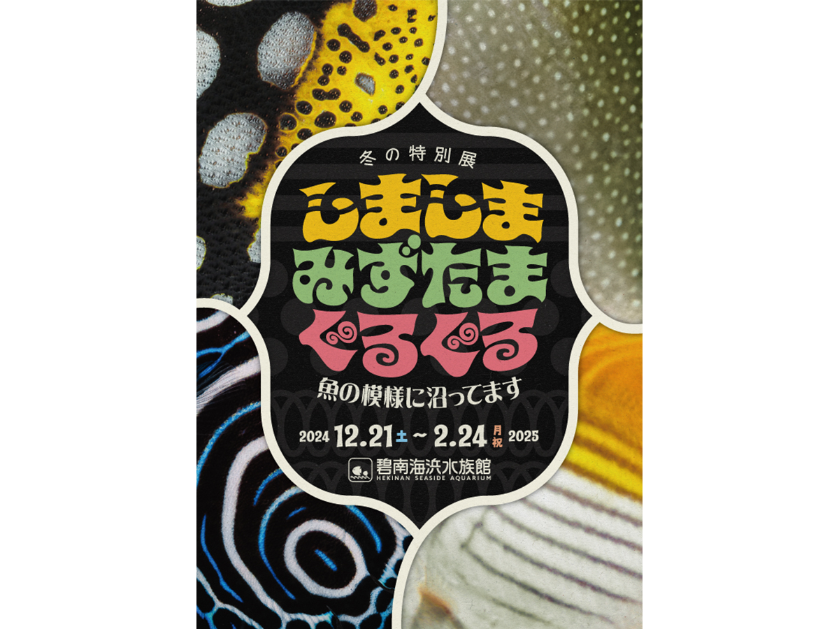 碧南海浜水族館 冬の特別展「しましまみずたまぐるぐる～魚の模様に沼ってます～」