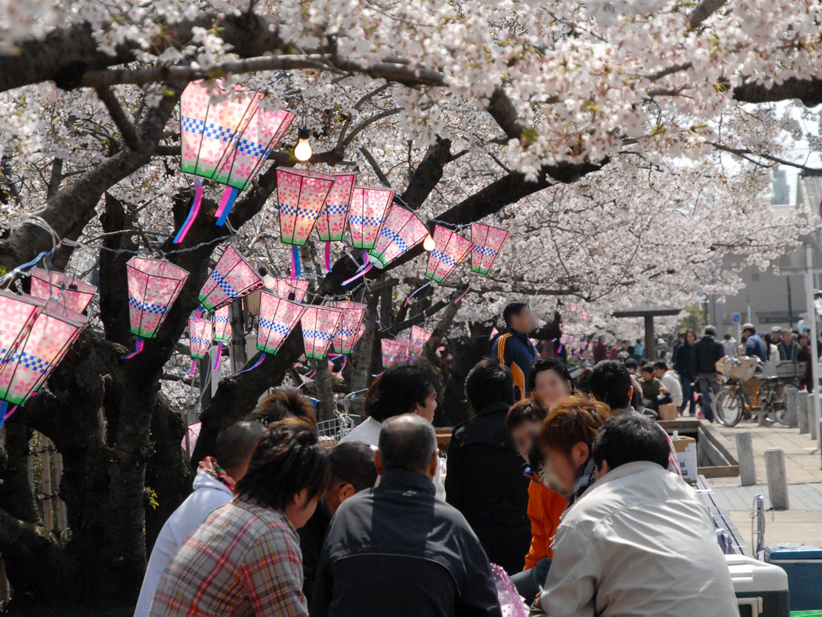 六万石桜まつり