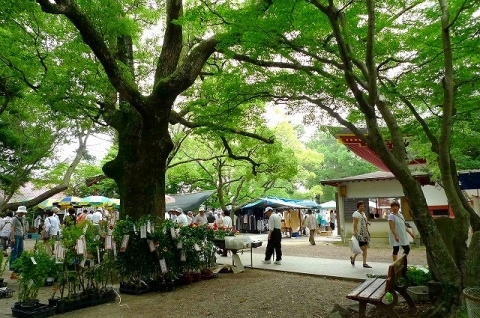 愛知県知立市の弘法さんの命日（遍照院および弘法通り）