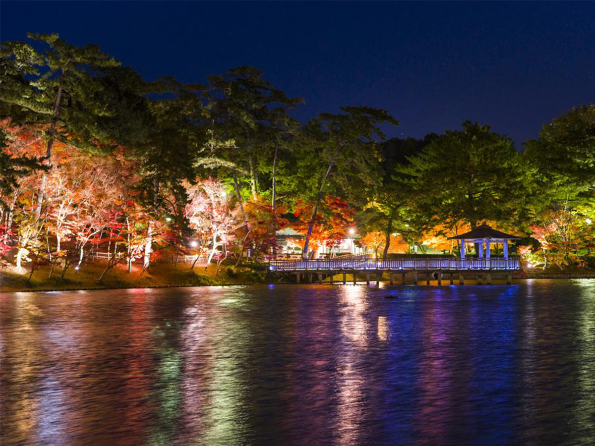 東公園紅葉ライトアップ